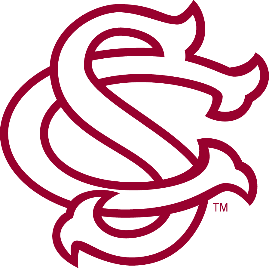 South Carolina Gamecocks 1993-Pres Alternate Logo diy fabric transfers